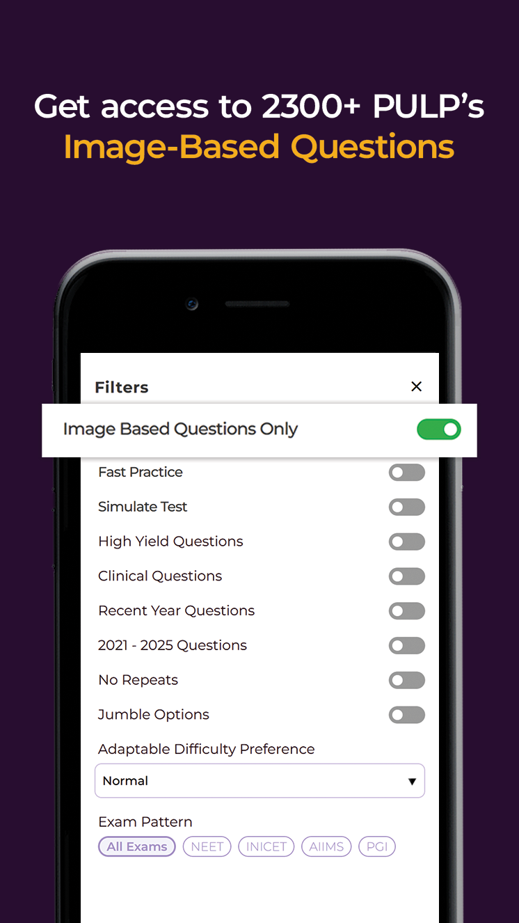 2300+ PULP’s Image-Based Questions (1).png